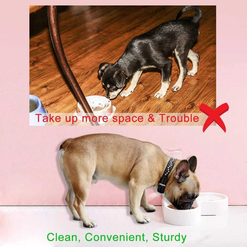 Automatic Pet Water Dispenser and Food Bowl for Cats and Dogs - Easy to Clean PP Design