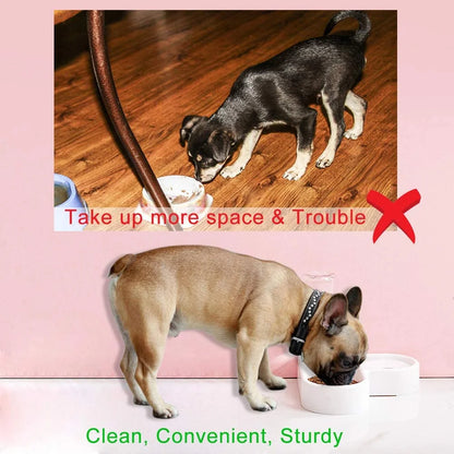 Automatic Pet Water Dispenser and Food Bowl for Cats and Dogs - Easy to Clean PP Design