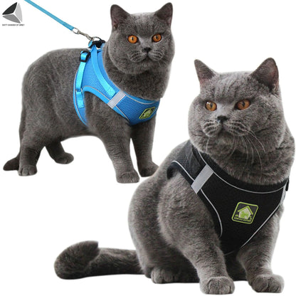 Adjustable No-Pull Dog Harness with Reflective Design and Breathable Mesh, Includes Leash for Small Dogs and Cats (XL, Red)