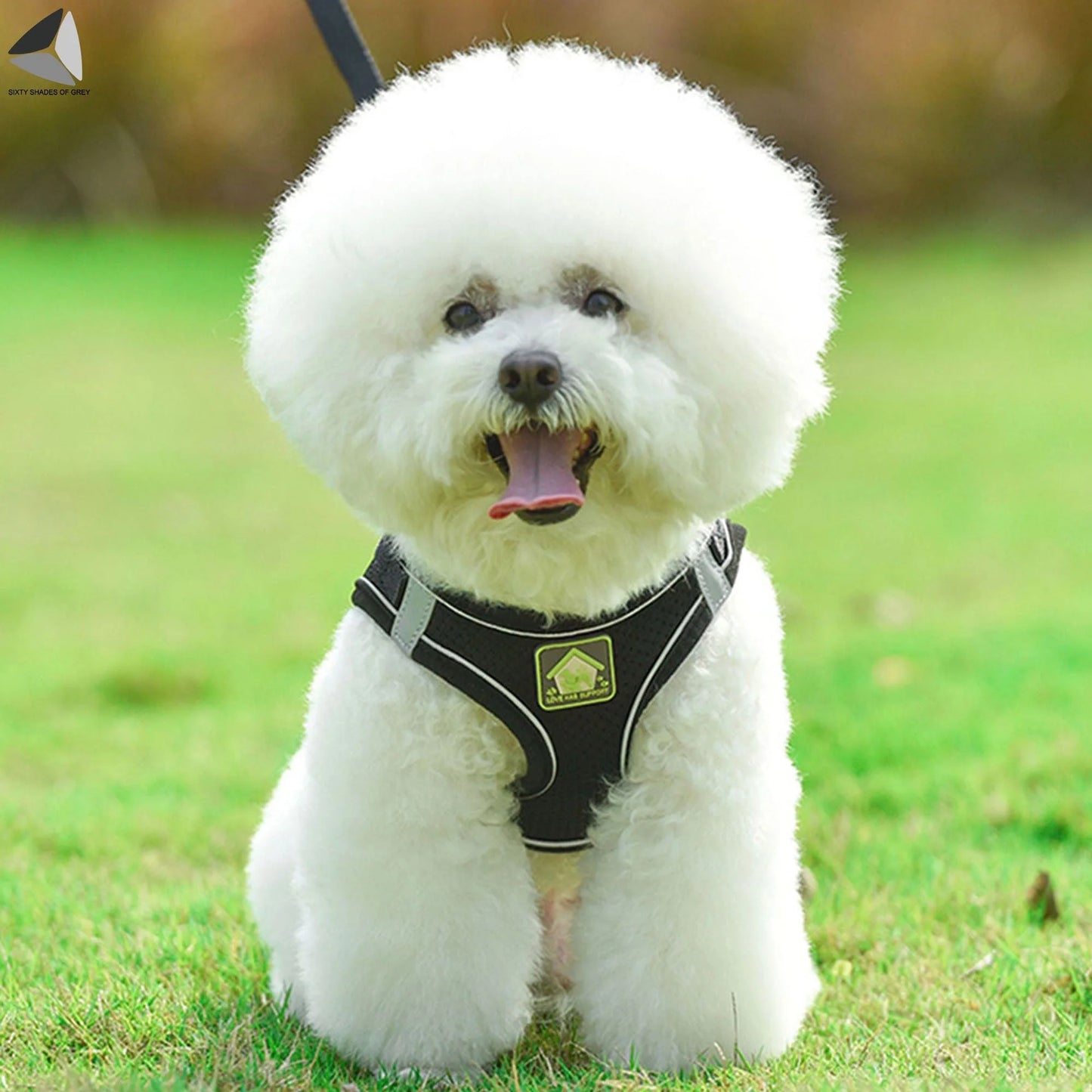 Adjustable No-Pull Dog Harness with Reflective Design and Breathable Mesh, Includes Leash for Small Dogs and Cats (XL, Red)