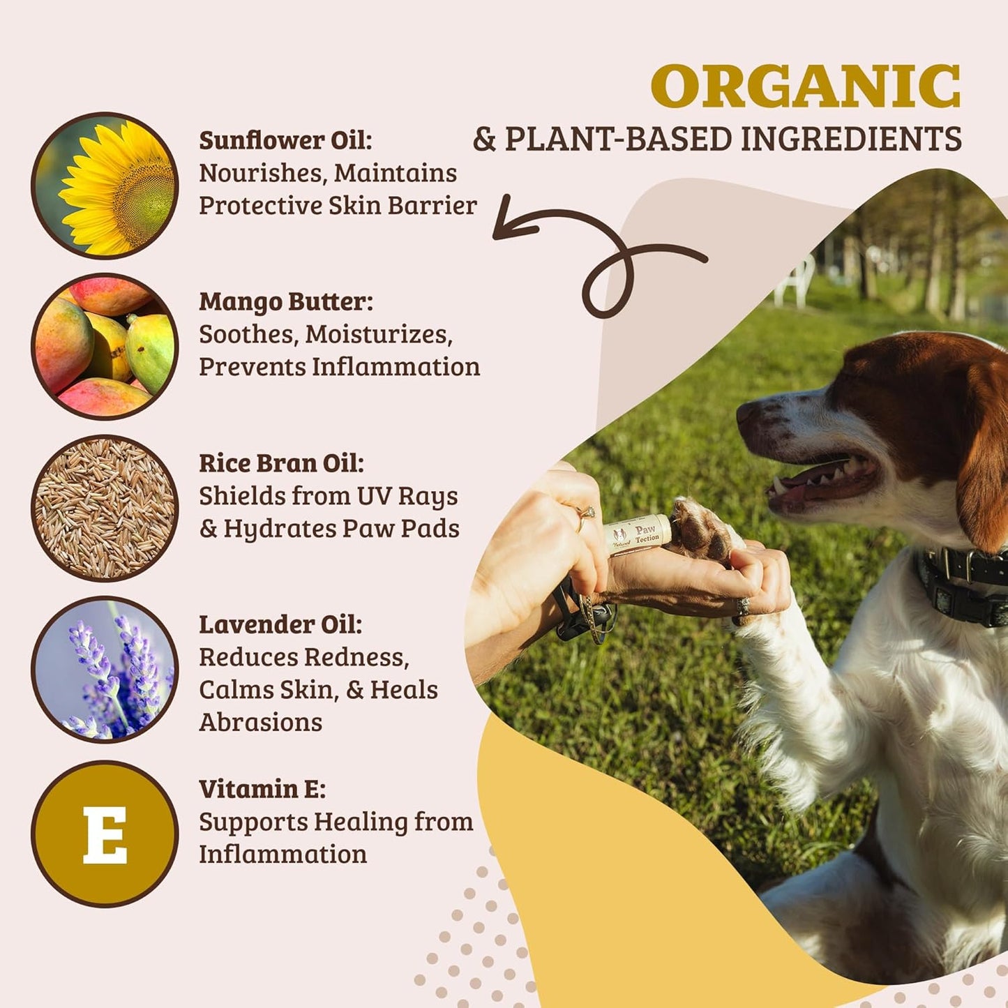 Pawtection Balm - Natural, Safe & Lick-Safe Formula for Hot Pavement, Dry Cracked Paws & Rough Terrain - 0.15 Oz Stick