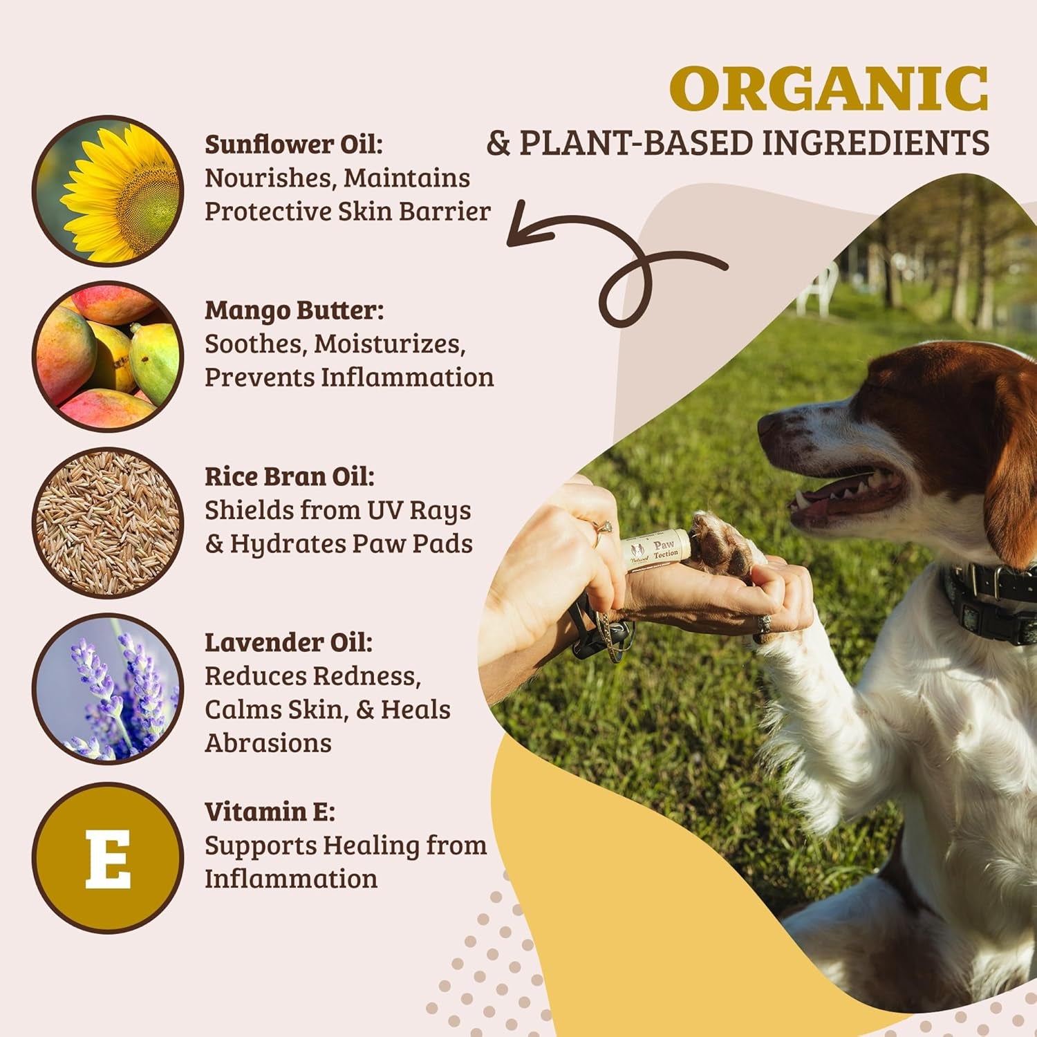 Pawtection Balm - Natural, Safe & Lick-Safe Formula for Hot Pavement, Dry Cracked Paws & Rough Terrain - 0.15 Oz Stick